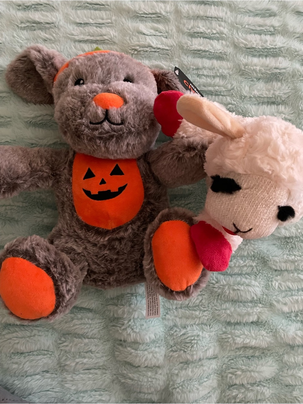 Plush Bear with Orange Pumpkin Outfit and Lamb Chop dog toys NWT/NWOT